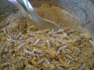 Ayurveda Kochen
