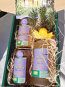 MHonig Produkte