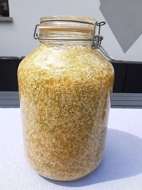 Oxymel Holunderbluete