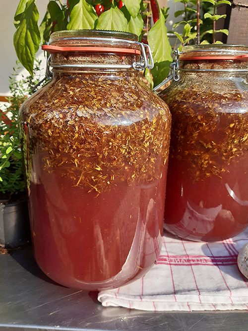 Oxymel Johanniskraut