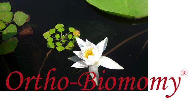 Ortho-Bionomy