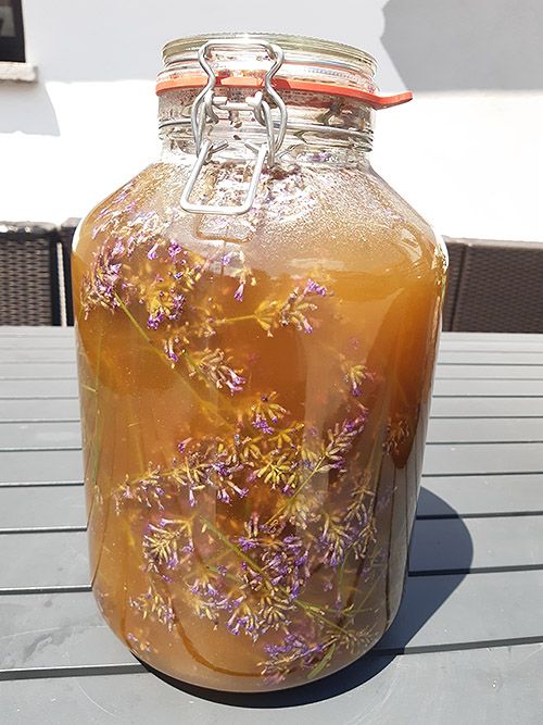 Oxymel Lavendel Ansatz